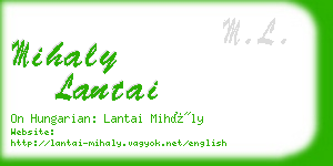 mihaly lantai business card